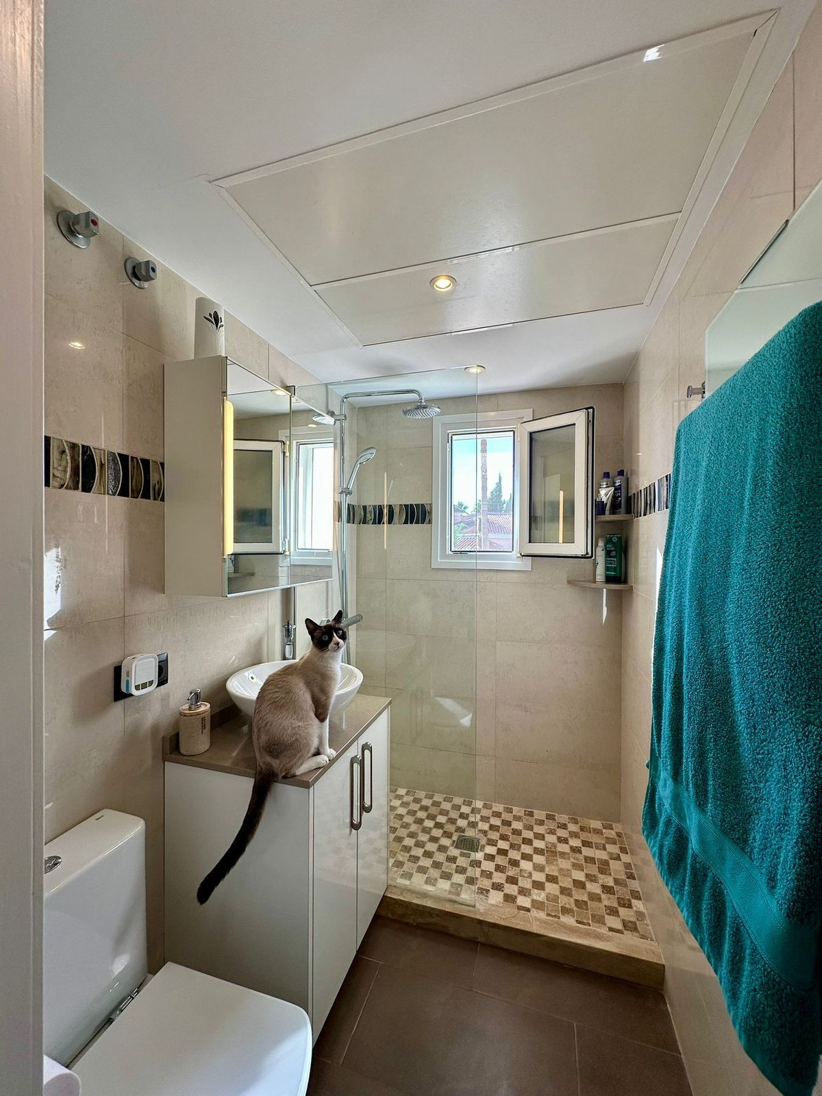 d479df1a8cb423010c295fc294b81eba - 18