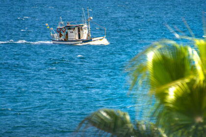 db8cd2069ba00f9a799170ffdd5ce91c - 25