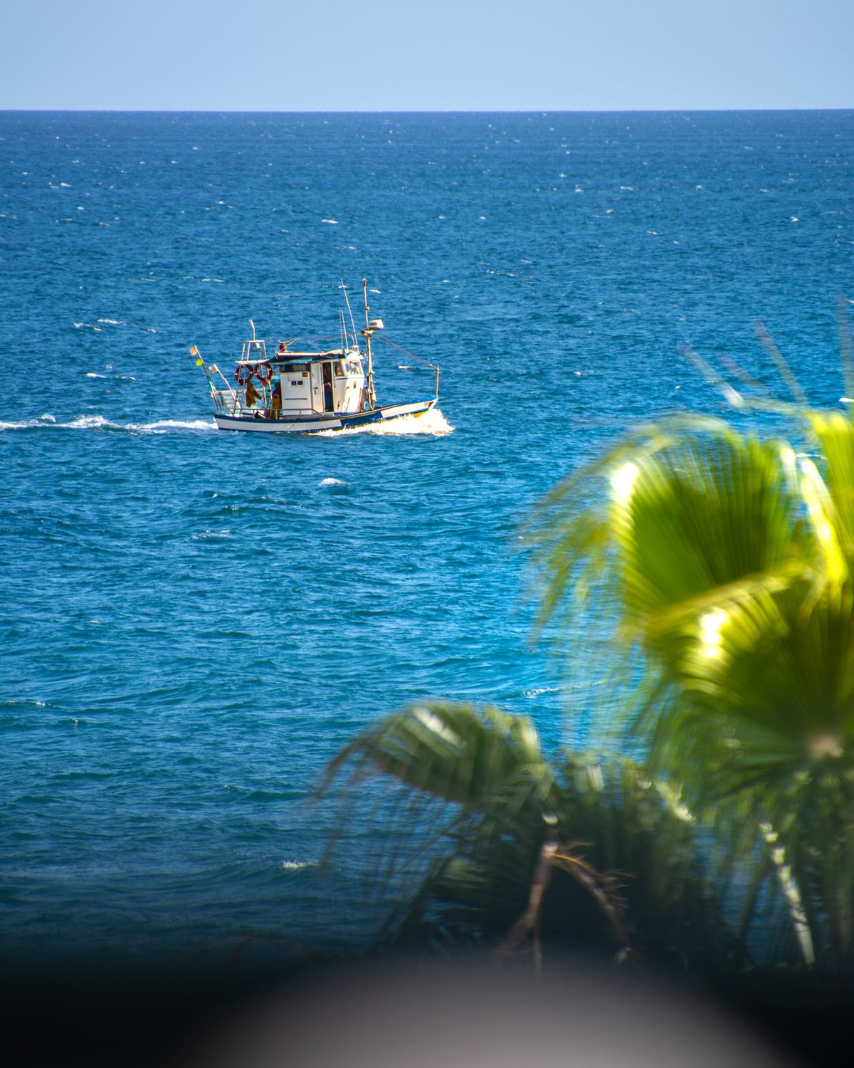 db8cd2069ba00f9a799170ffdd5ce91c - 25