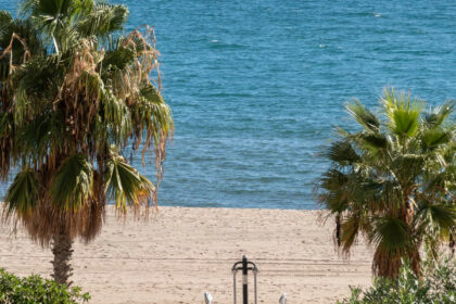 db8cd2069ba00f9a799170ffdd5ce91c - 27