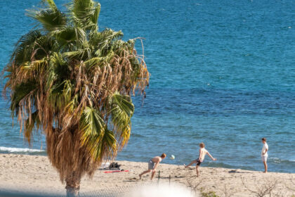 db8cd2069ba00f9a799170ffdd5ce91c - 28