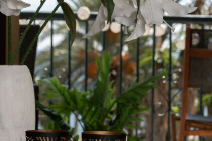 db8cd2069ba00f9a799170ffdd5ce91c - 29