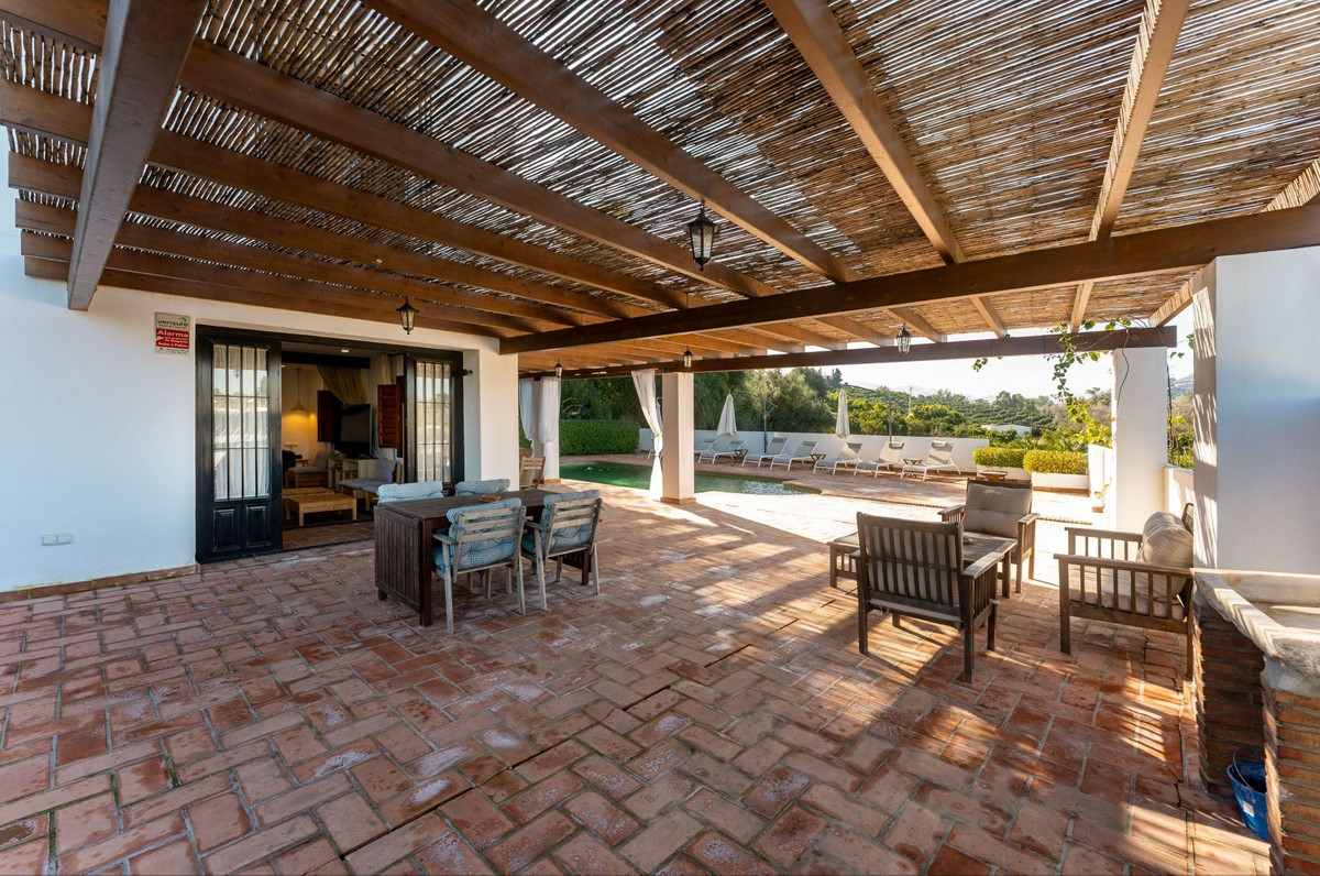 e2456eecf110a8e87412decb4f9fa2c0 - 37