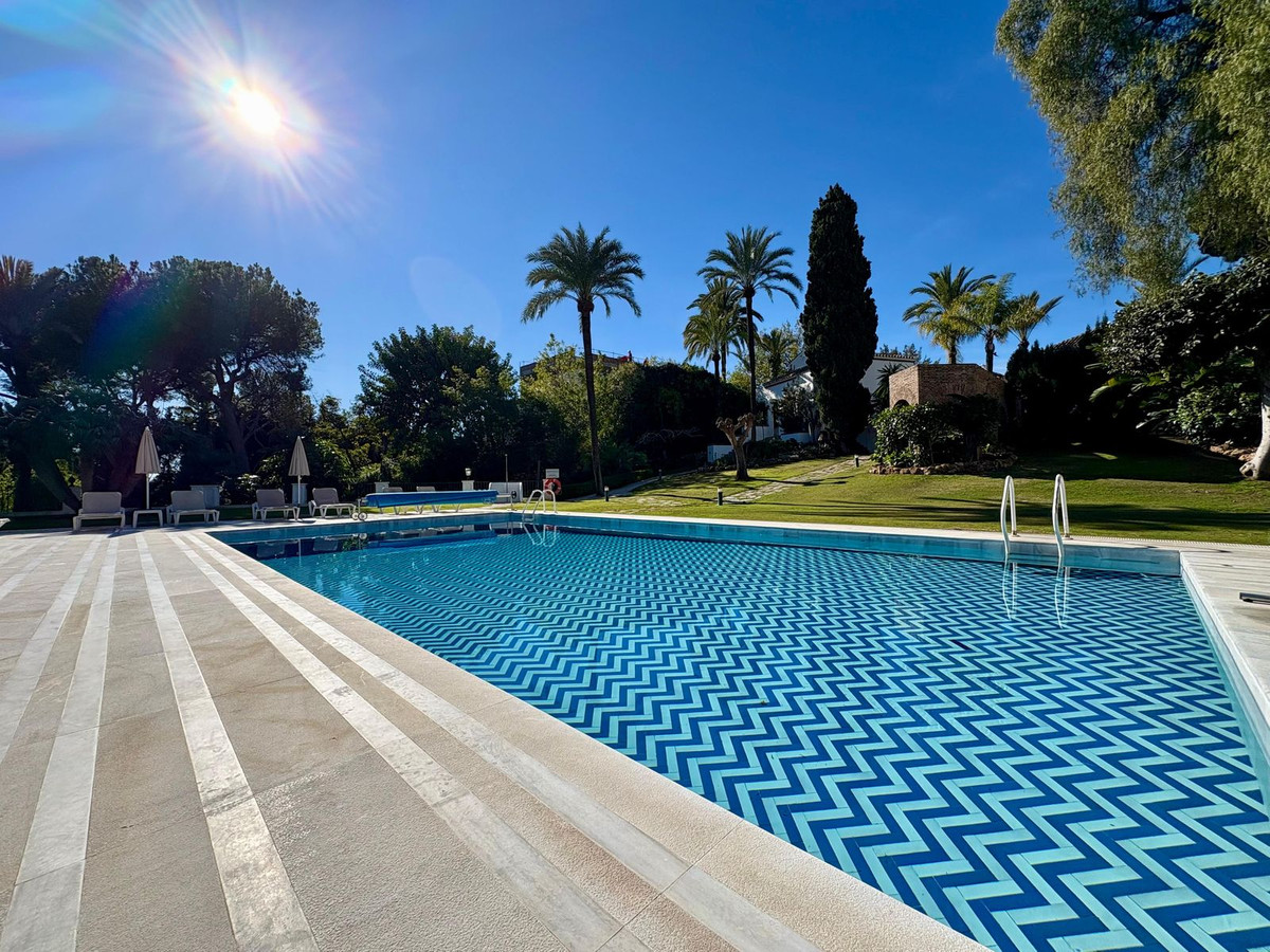 e2a29b2e43b4b4bd118dfbef7a9040fe - 24