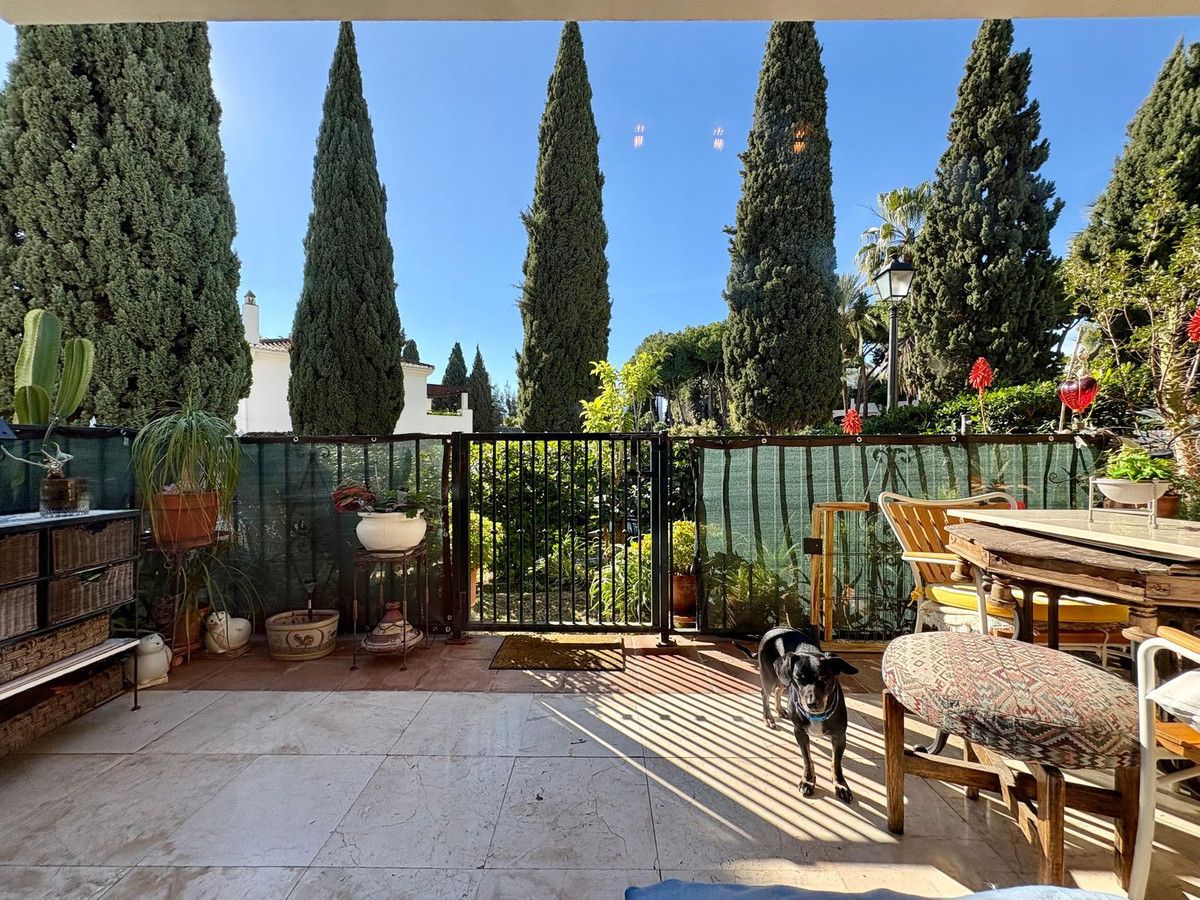 e2a29b2e43b4b4bd118dfbef7a9040fe - 3