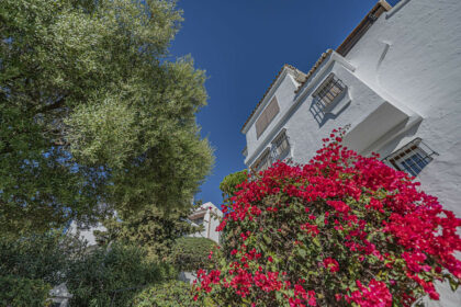 e4437668c620b703a7af5c6b45440643 - 36