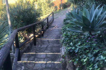 e89b63b139905bcc42b1d505c07caaae - 33