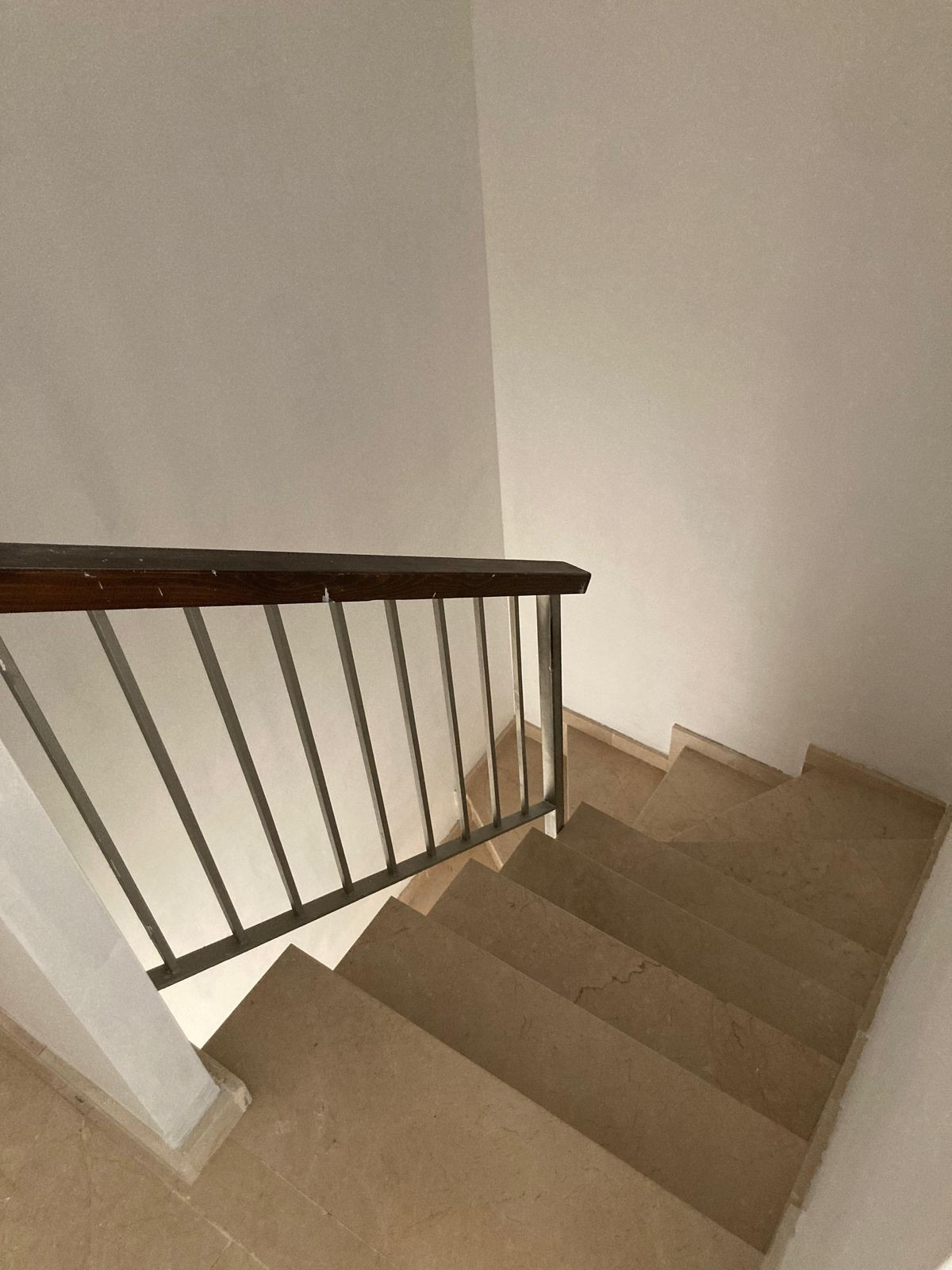 ecc8bf9cde5478c82c03d8844cc9e2f0 - 37