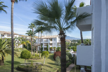 edffbe01d0787f1e702b315790e91ad8 - 31