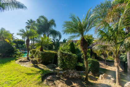 ee717384a270a0e79ece741522676d51 - 35