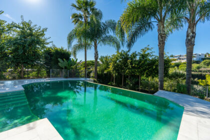 ee717384a270a0e79ece741522676d51 - 42