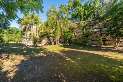 ee717384a270a0e79ece741522676d51 - 45