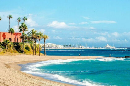 efd96e49b7b3a7fe480b44310724067f - 39