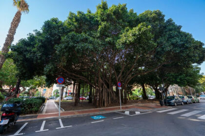 f7d1a3ac51b25ad311f6921c65a82aa8 - 19