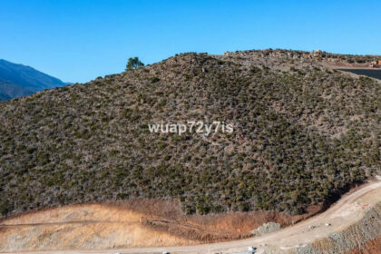 f9f5d71f3a5a00436b024f3c7586418a - 4