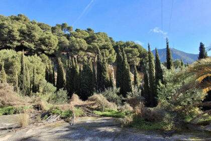 fa9656168c419b2a22eddb5ee822e9b5 - 10