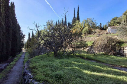 fa9656168c419b2a22eddb5ee822e9b5 - 11