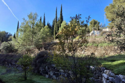 fa9656168c419b2a22eddb5ee822e9b5 - 12