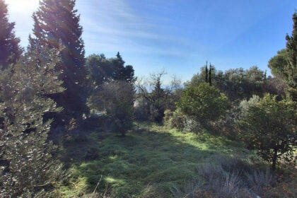 fa9656168c419b2a22eddb5ee822e9b5 - 2