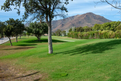 fbd902ad445c8e689f01ce444626d751 - 24